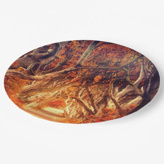 Najaarbosboombladeren bossen herfst papieren bordje (Gekanteld)