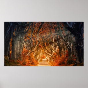 Najaarbosboombladeren bossen herfst poster