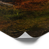 Najaarbosboombladeren bossen herfst poster (Hoek)