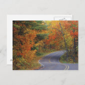 Najaargang van de bomen in het natuurpark Itasca Briefkaart (Voorkant / Achterkant)