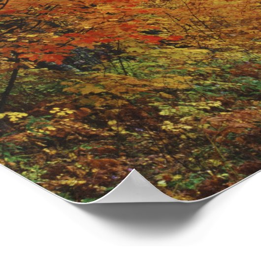 Najaargang van de bomen in het natuurpark Itasca Poster (Hoek)