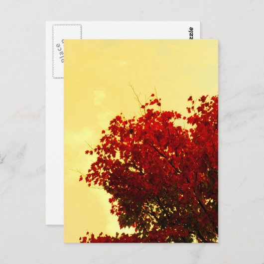 Najaarkleur Briefkaart (Voorkant / Achterkant)