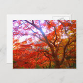 Najaarkleur Briefkaart (Voorkant / Achterkant)