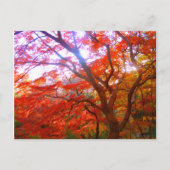 Najaarkleur Briefkaart (Voorkant)