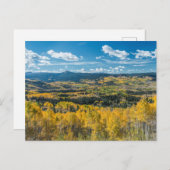 Najaarkleur in vlakke Topjes | Routt National Fore Briefkaart (Voorkant / Achterkant)