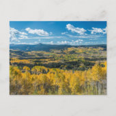 Najaarkleur in vlakke Topjes | Routt National Fore Briefkaart (Voorkant)