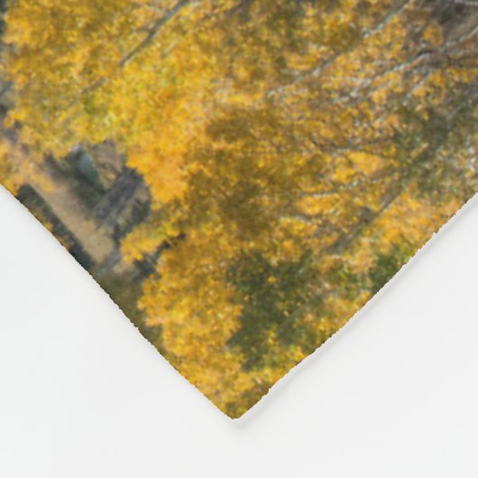 Najaarkleur in vlakke Topjes | Routt National Fore Fleece Deken (Hoek)