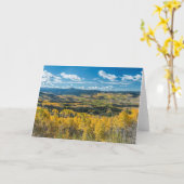 Najaarkleur in vlakke Topjes | Routt National Fore Kaart (Gele Bloem)