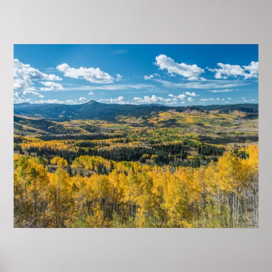 Najaarkleur in vlakke Topjes | Routt National Fore Poster (Voorkant)