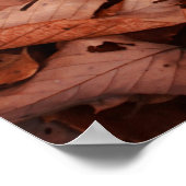 Najaarkleur Poster (Hoek)