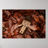 Najaarkleur Poster (Voorkant)