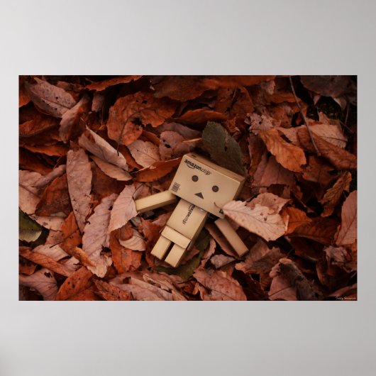 Najaarkleur Poster (Voorkant)