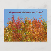 Najaarkleuren 4 briefkaart (Voorkant)