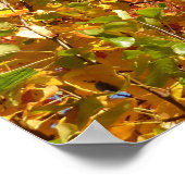 Najaarkleuren 4 poster (Hoek)