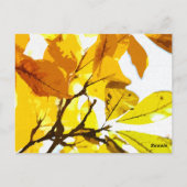 Najaarkleuren, bladeren briefkaart (Achterkant)