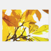 Najaarkleuren, bladeren inpakpapier vel (Voorkant 3)