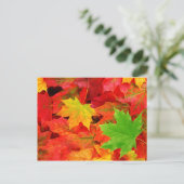 Najaarkleuren Briefkaart (Staand voorkant)