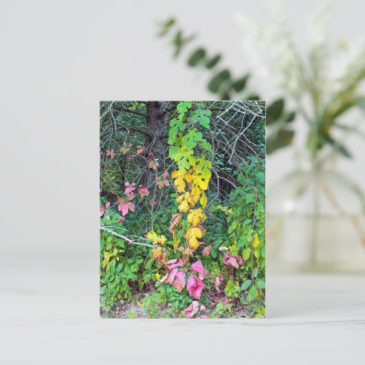 Najaarkleuren Briefkaart (Staand voorkant)