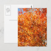 Najaarkleuren Briefkaart (Voorkant / Achterkant)