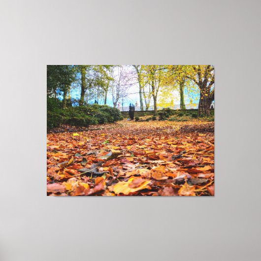 Najaarkleuren Canvas Afdruk (Voorkant)