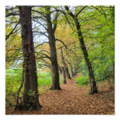 Najaarkleuren Foto Afdruk (Voorkant)