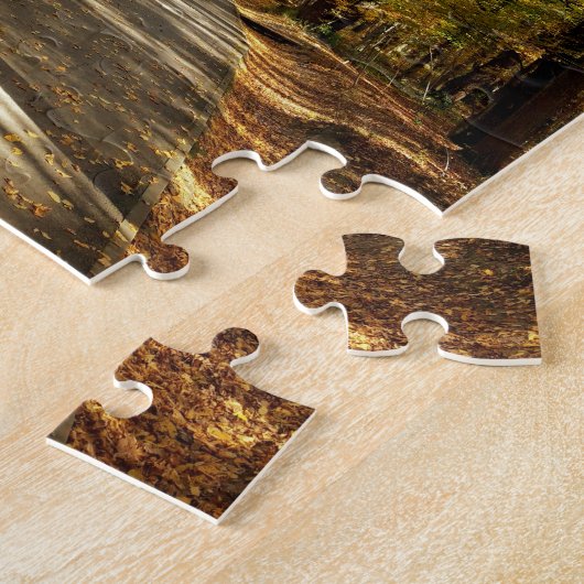 Najaarkleuren in het park legpuzzel (Zijkant)