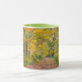 najaarkleuren in het staatspark Independence Mok (Midden)