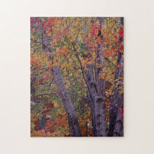 Najaarkleuren Legpuzzel