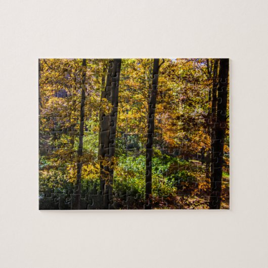 Najaarkleuren Legpuzzel (Horizontaal)