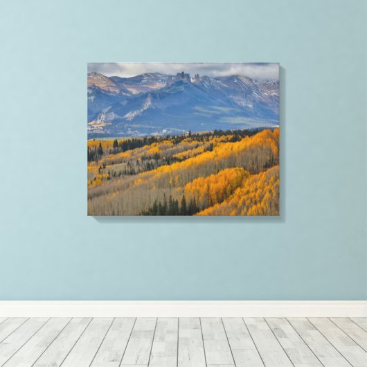 Najaarkleuren op Aspen Groves Canvas Afdruk (Insitu (Houten vloer))