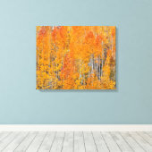 Najaarkleuren op Aspen Groves Canvas Afdruk (Insitu (Houten vloer))