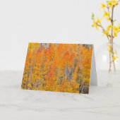 Najaarkleuren op Aspen Groves Kaart (Gele Bloem)