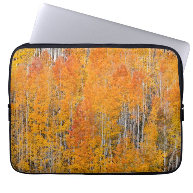 Najaarkleuren op Aspen Groves Laptop Sleeve (Voorkant)
