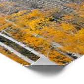 Najaarkleuren op Aspen Groves Poster (Hoek)