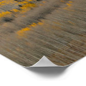 Najaarkleuren op Aspen Groves Poster (Hoek)