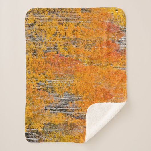 Najaarkleuren op Aspen Groves Sherpa Deken (Voorkant)