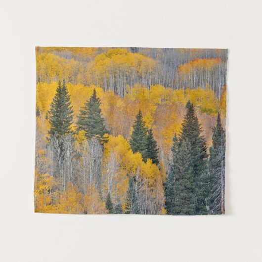 Najaarkleuren op Aspen Groves Wandkleed (Voorkant (horizontaal))