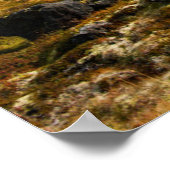 Najaarkleuren op het landschap poster (Hoek)
