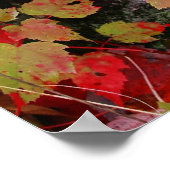 Najaarkleuren Poster (Hoek)