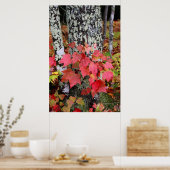 Najaarkleuren Poster (Keuken)