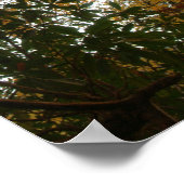 Najaarkleuren Poster (Hoek)