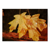 Najaarleder met regendruppels, blanco binnenin (Voorkant Horizontaal)