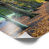 Najaarn Morning Foto Afdruk (Hoek)