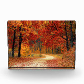 Najaarpad door de bomen fotoblokken (Voorkant)