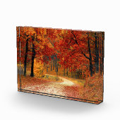 Najaarpad door de bomen fotoblokken (Rechts)