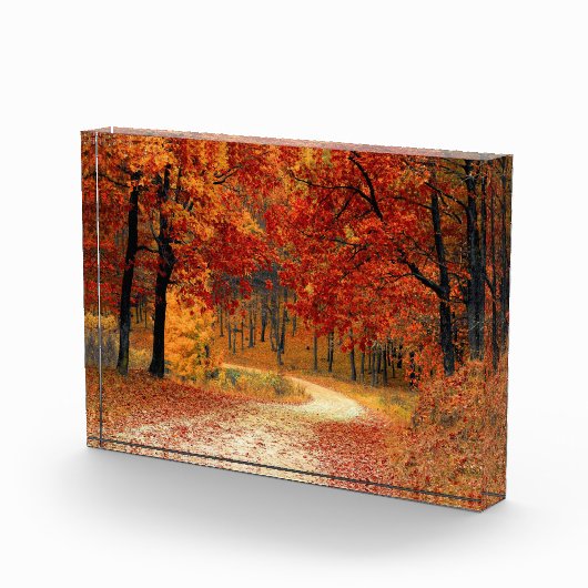 Najaarpad door de bomen fotoblokken (Rechts)