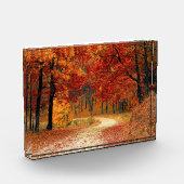 Najaarpad door de bomen fotoblokken (Links)