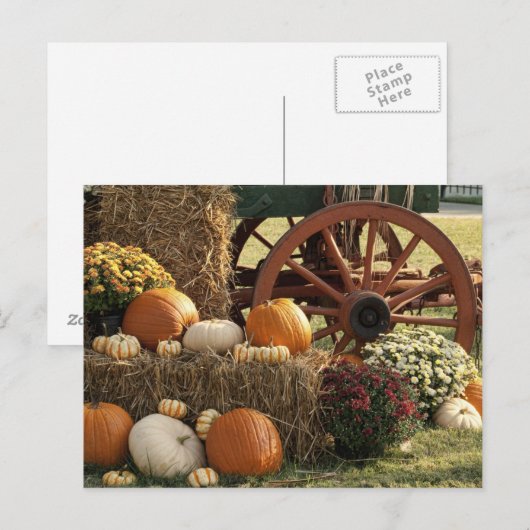 Najaarpompoenen en Mom-display Briefkaart (Voorkant / Achterkant)