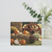 Najaarpompoenen en Mom-display Briefkaart (Staand voorkant)