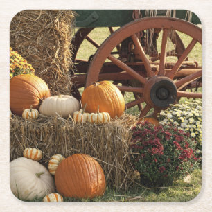 Najaarpompoenen en Mom-display Kartonnen Onderzetters